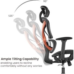Эргономичное офисное кресло SpineX