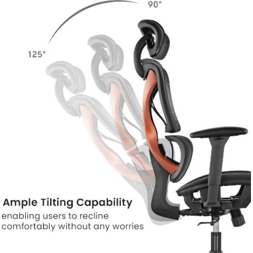 Эргономичное офисное кресло SpineX