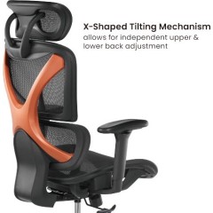 Эргономичное офисное кресло SpineX