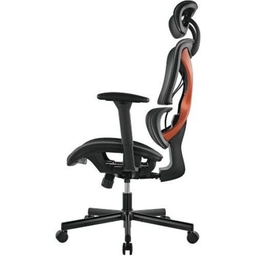 Эргономичное офисное кресло SpineX