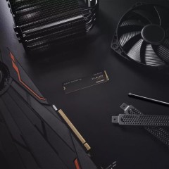 כונן SSD פנימי משחקי WD_BLACK SN770 NVMe בנפח 500GB