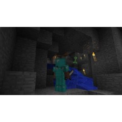 Игра Minecraft (NS)