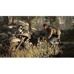 Game Days Gone — PlayStation (PS4)