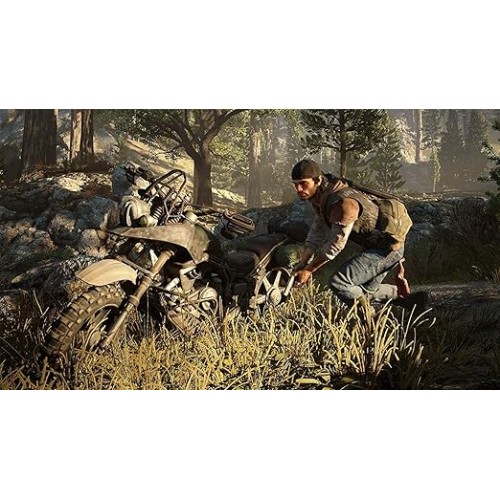 Game Days Gone — PlayStation (PS4)