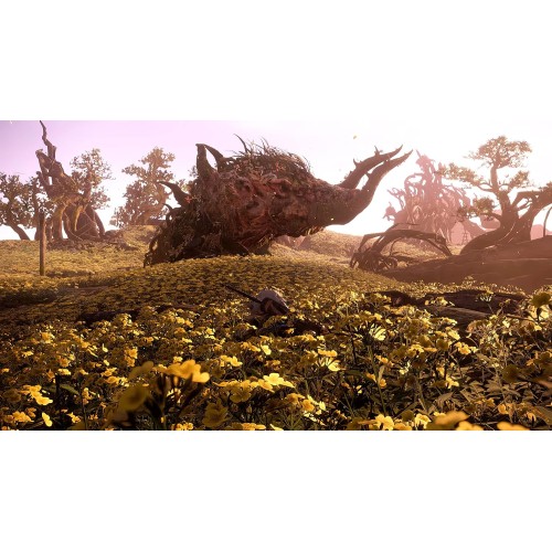 Game Wild Hearts (PS5)