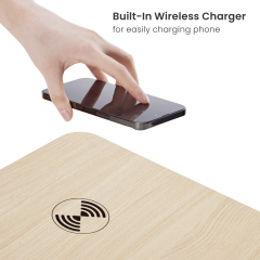 Single-motor height-adjustable desk with drawer and wireless charger — Black