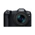 Беззеркальная цифровая камера Canon EOS R8 + объектив RF 24-50mm F4.5-6.3 IS STM — черный