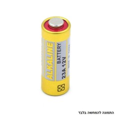 Alkaline Battery 10A