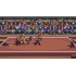 משחק The Karate Kid Street Rumble (NS)