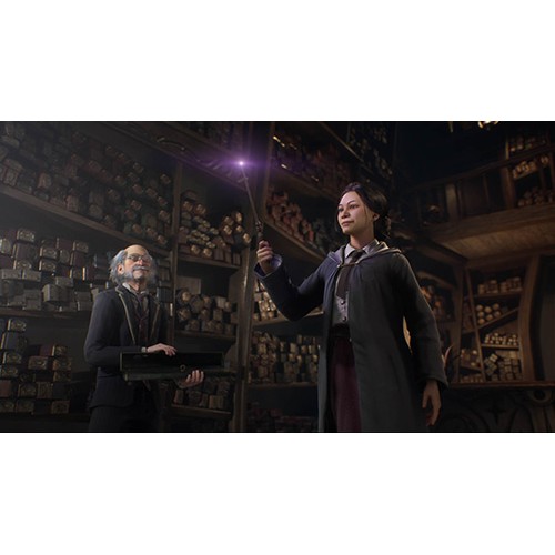 Игра Hogwarts Legacy — PlayStation (PS5)