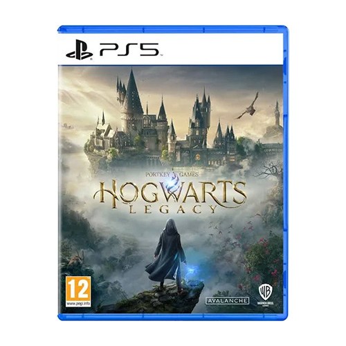 Игра Hogwarts Legacy — PlayStation (PS5)