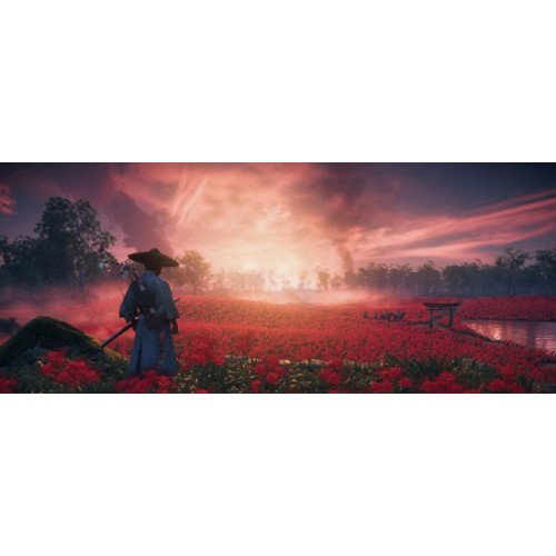 Game Ghost of Tsushima Director Cut — PlayStation (PS4)