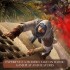 משחק Assassin's Creed Mirage Standard Edition (PS5)