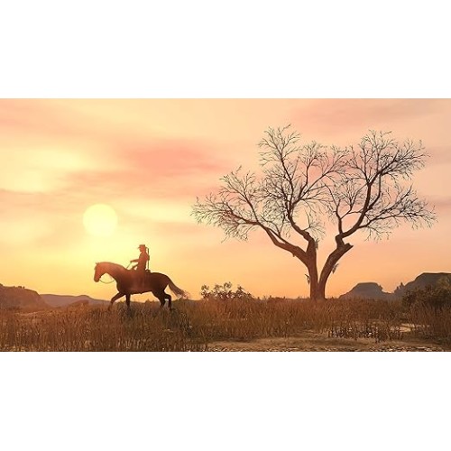 Игра Red Dead Redemption (PS4)