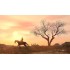Игра Red Dead Redemption (PS4)