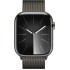 Смарт-часы Apple Watch Series-9 GPS + Cellular 45 mm Graphite Stainless Steel Case с ремешком Graphite Milanese Loop