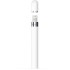Apple Pencil 1st Generation Stylus for iPad + USB-C Adapter (MQLY3ZM/A)