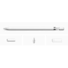 Стилус Apple Pencil 1-го поколения для iPad + адаптер USB-C (MQLY3ZM/A)