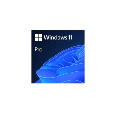 Operating System Microsoft Windows 11 Professional ESD