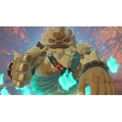 Игра The Legend Of Zelda Breath Of The Wild (NS)
