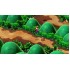 Game Super Mario RPG (NS)