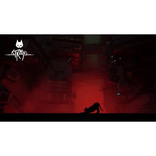 משחק Stray (NS)