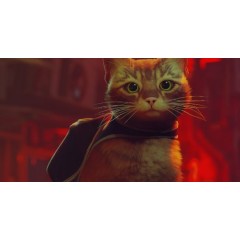Игра Stray (NS)