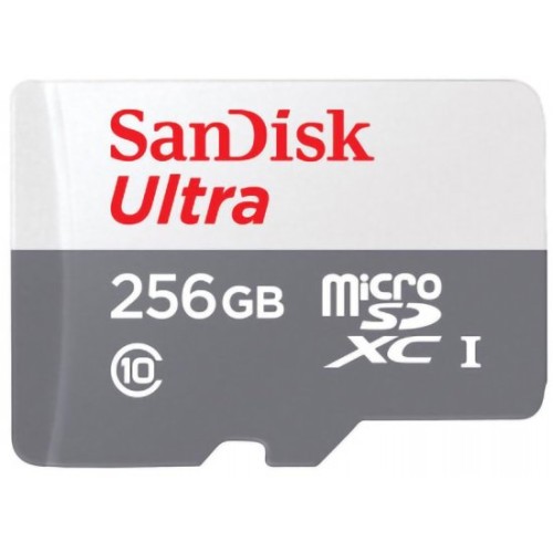 SanDisk Ultra MicroSDXC memory card without adapter with a capacity of 256GB