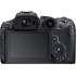 Беззеркальная цифровая камера Canon EOS R7 (только корпус) — черный