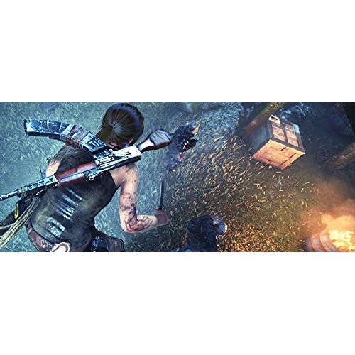 Игра Rise Of The Tomb Raider: 20 Year Celebration (PS4)