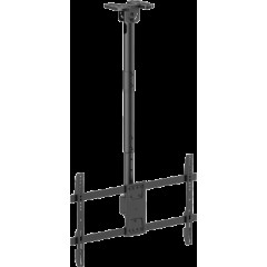 TV Ceiling Mount PLB-CE1546S