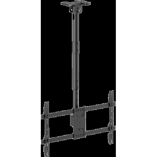 TV Ceiling Mount PLB-CE1546S