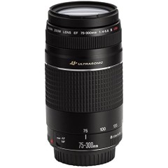 Canon EF 75-300mm F4-5.6 III USM Lens for Canon EF Mount Cameras — Black