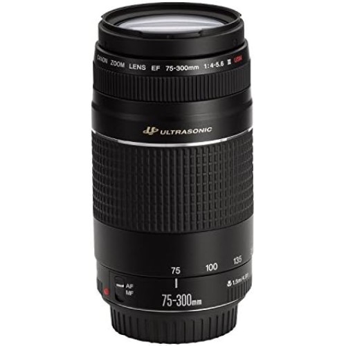 Canon EF 75-300mm F4-5.6 III USM Lens for Canon EF Mount Cameras — Black