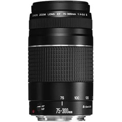 Canon EF 75-300mm F4-5.6 III USM Lens for Canon EF Mount Cameras — Black