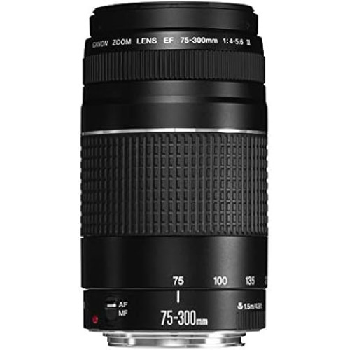 Canon EF 75-300mm F4-5.6 III USM Lens for Canon EF Mount Cameras — Black