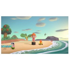 Игра Animal Crossing New Horizons (NS)