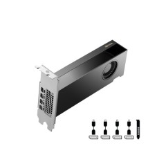 Видеокарта NVIDIA RTX 2000 ADA 16 ГБ GDDR6 GRAPHIC CARD