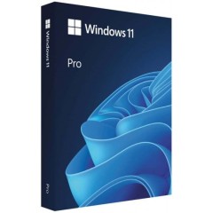 Software Microsoft Windows Pro Retail with Windows 11 license in English.