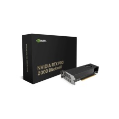 Видеокарта NVIDIA RTX PRO 2000 BLACKWELL 16 ГБ