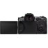 Беззеркальная цифровая камера Canon EOS R5 C (только корпус) — черный