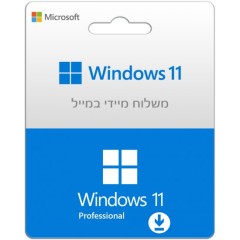 Microsoft Windows 11 Professional ESD
