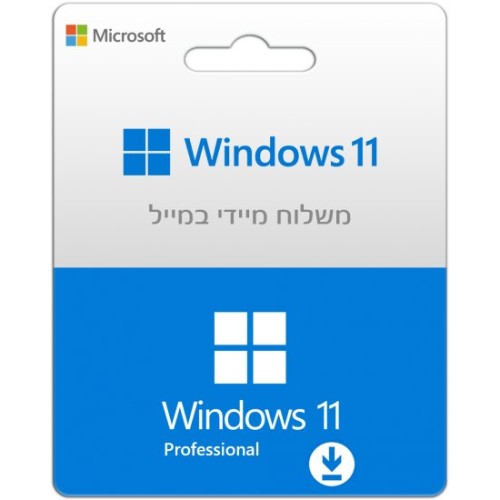 Microsoft Windows 11 Professional ESD