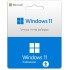 Microsoft Windows 11 Professional ESD