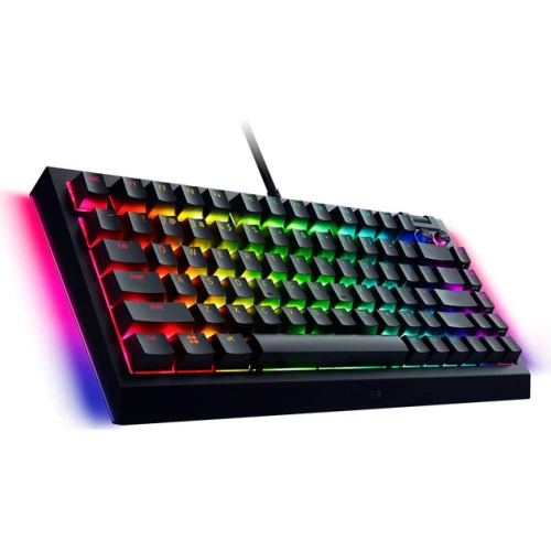 מקלדת גיימינג BlackWidow V4 75
